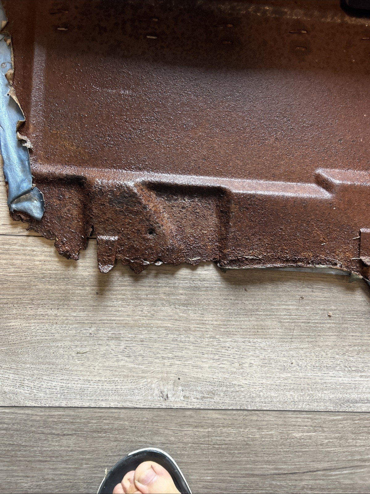 Picture 5 of 5
