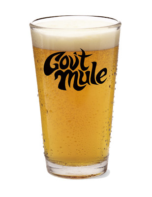 Gov't Mule - Rock and Roll - Blues - 16oz Pint Beer Glass Barware Seltzer Tea 01