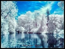 Chart Needlework DIY - Counted Cross Stitch Patterns - Winter Lake