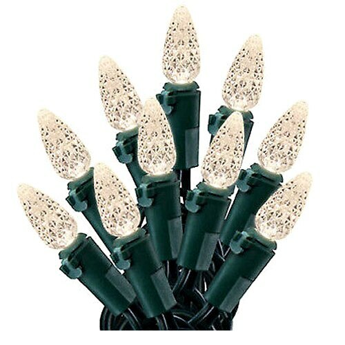 Holiday Time 20 Warm White 3 Function LED C3 Lights With Timer