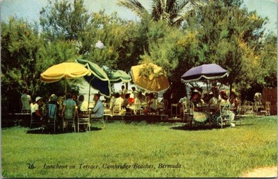 Luncheon On Terrace-Cambridge Beaches, Bermuda-Chrome Postcard
