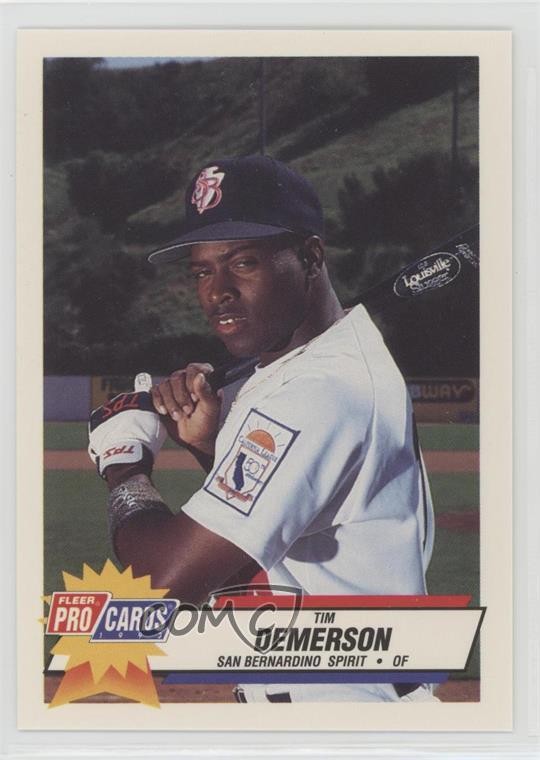 1993 Fleer ProCards Minor League Tim Demerson #782 0w8