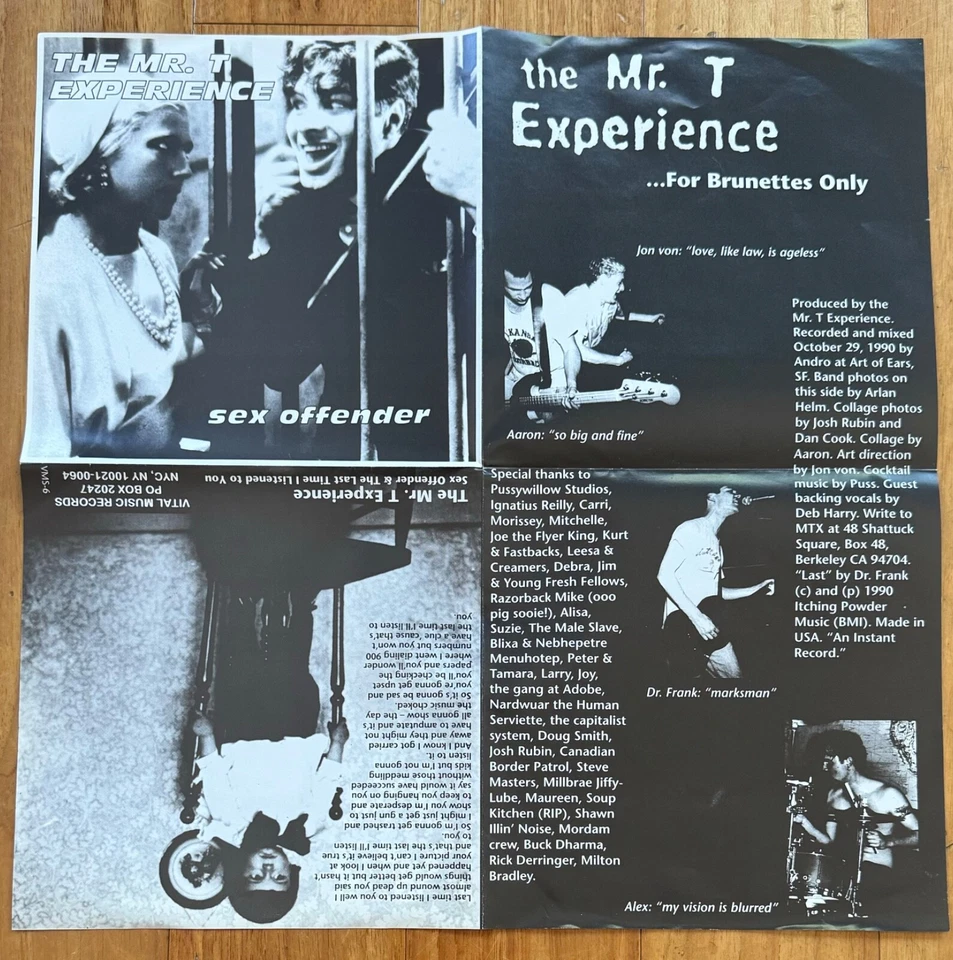THE MR. T EXPERIENCE Sex Offender CLEAR VINYL 7" screeching weasel queers samiam - Image 3 of 4