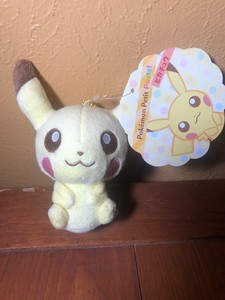 pokemon petit plush