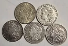 5 Morgan Silver Dollars - 5 Coin Lot - SKu14