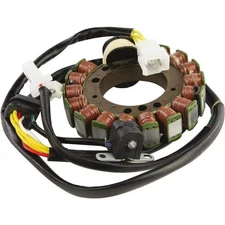 Ricks Motorsport Electric - 21-817 - Stator