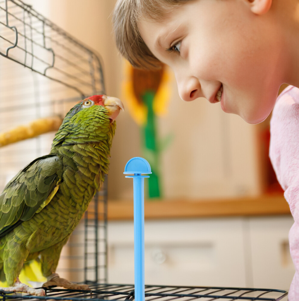 10Pcs Plastic Bird Perches for Budgies Love Birds Finches (Red/Blue) eBay