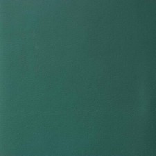 Morceau de cuir SWEET 2 - VERT