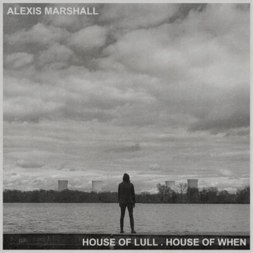 Alexis Marshall House of Lull. House of When (Vinyl LP)