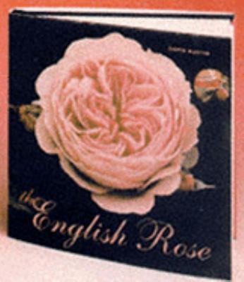 The English Rose by David Austin