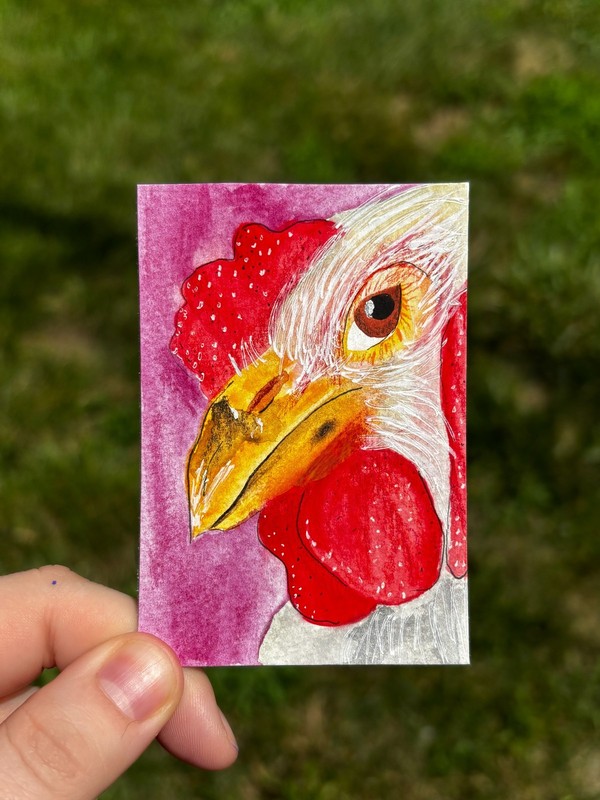 ACEO origional Painting, Watercolor/Mixed Media, Skeptical Chicken, 2.5inx3.5in
