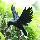 Artificial Crow Statue Garden Decor Fake Crow Festival Decor Bird Ornament
