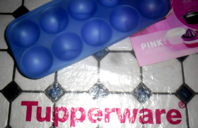 1 Einleger für Tupperware Kolumbus/ Maxi twin Eierbox für Eierbehälter Frischei