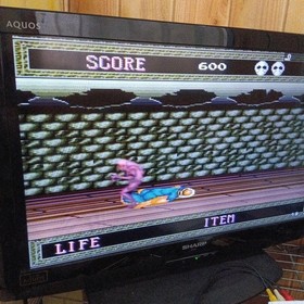Splatter House PC Engine HuCARD Japan Region