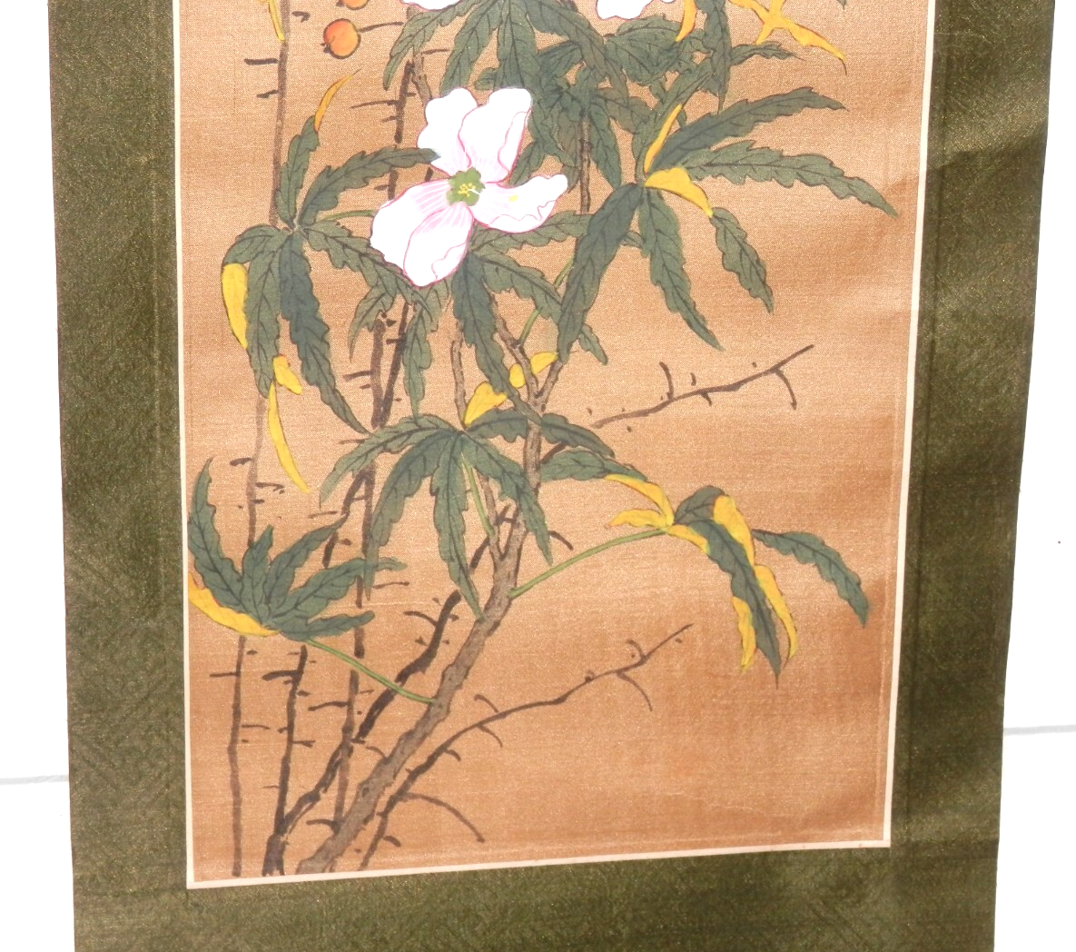 Picture 5 of 20