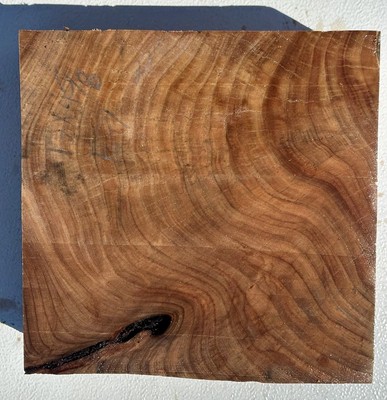 E7   Extra Fancy Elm Bowl Blank Figured 12x4.6 10%MC Stump Cut ! Extra Thick