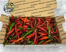 Thai Bird Chili Pepper Boxes (Freshly Picked)