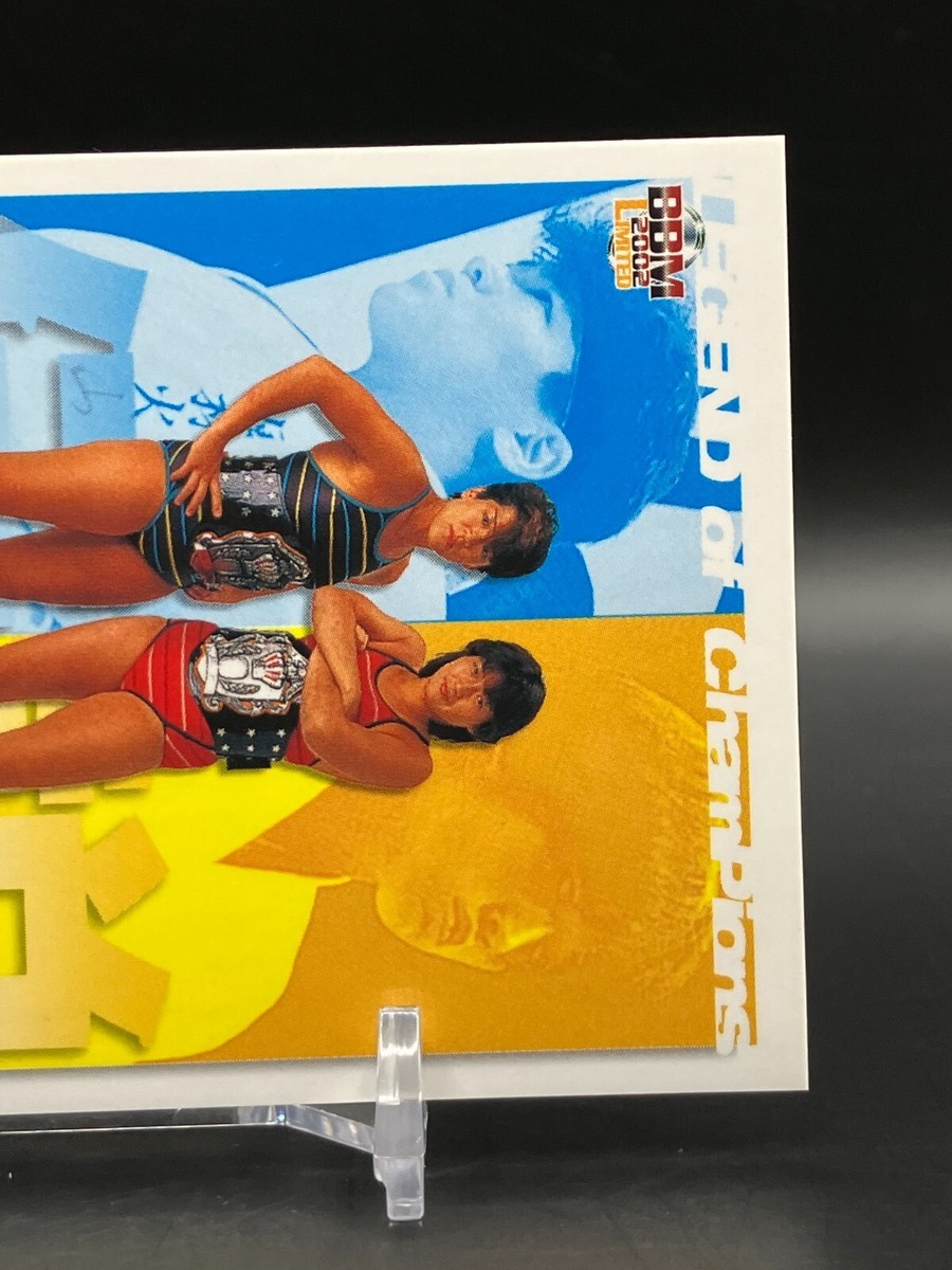 LIONESS ASKA CHIGUSA NAGAYO WWWA Japanese Women's Pro wrestling