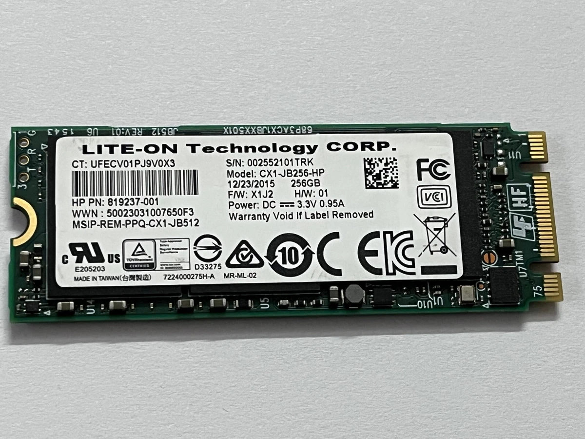 NEC LaVieDirect(M.2NVMeSSD 256GB＋1TBHDD) New WR90F Western Digital 256GB NVMe PCIE SSD Hard Drive M.2 2230