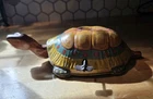 Antique 1940's J. CHEIN & CO. Metal Litho Toy Easter Tin Turtle No Native Rider