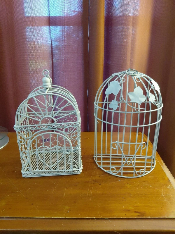Pair Decorative Metal Bird Cages Ivy White 12