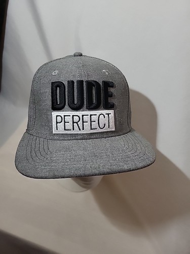 Dude Perfect Mens Gray Snapback Hat 2021 Tour Never Worn - Picture 2 of 10