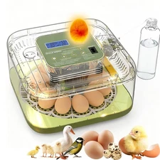 12 Egg Automatic Incubator with Digital Temperature & Humidity Control, Auto Tur