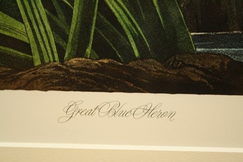John James Audubon "Great Blue Heron" Lithograph Signed ED1000 M. Bernard Loates - Picture 8 of 10