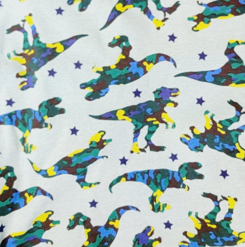Boys Sz 12 Pajama Set Long Sleeve Dinosaur Camo Blue & Colorful Tigers - 2 Pair - Picture 8 of 13