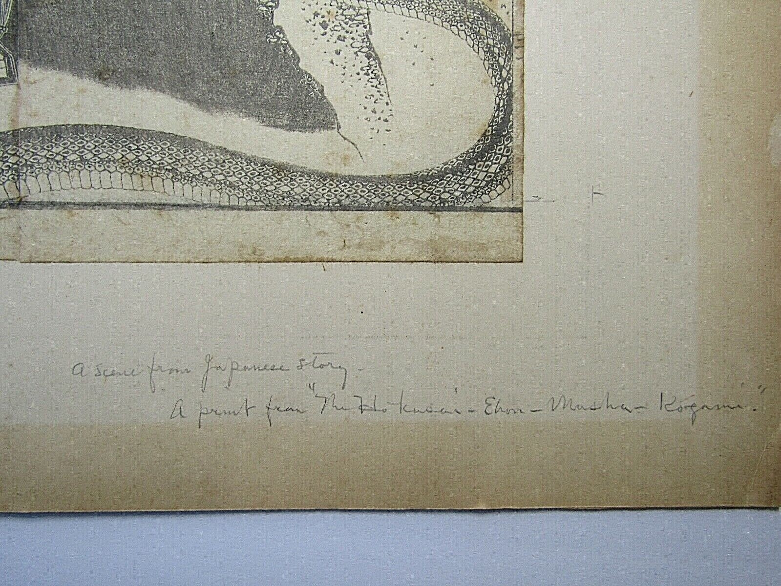Picture 5 of 12