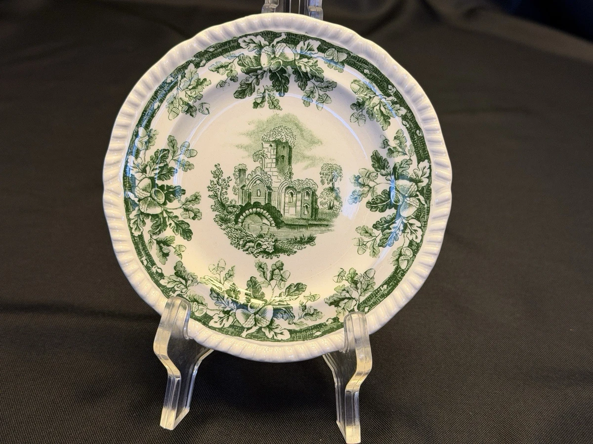 Spode Creatures of Curiosity Theekop en Schotel Gecanneleerde