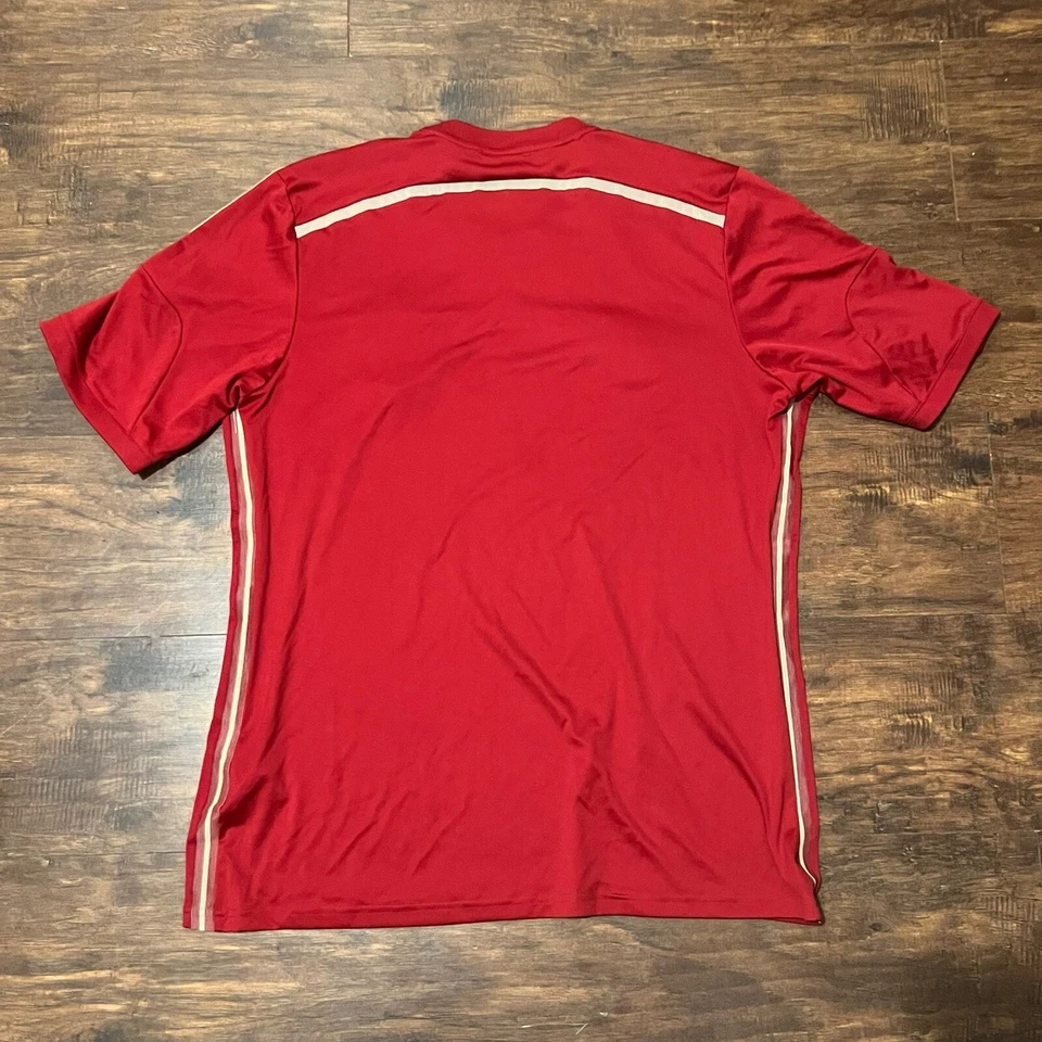 Camiseta España Campeones Mundiales FIFA 2010 Hombre Grande Roja Copa Mundial Fútbol Fútbol Foto 4 de 4