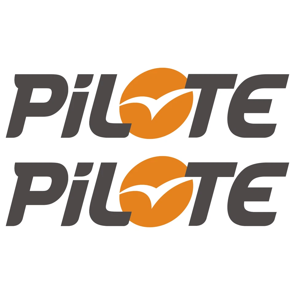 RAWISTICKER 2 x Pegatinas PiLOTE 50cm x 12,5cm Pegatina Autocaravana Camper Caravan