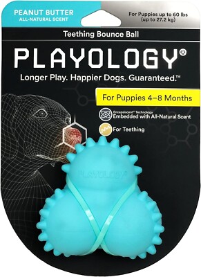 Playology Peanut Butter Scent Squeaky Bounce Ball Dog Toy, Medium