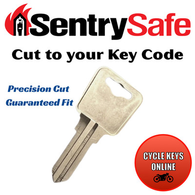 Sentry Safe Keys Replacement Key Made Cut to Code 4A2-4Z2