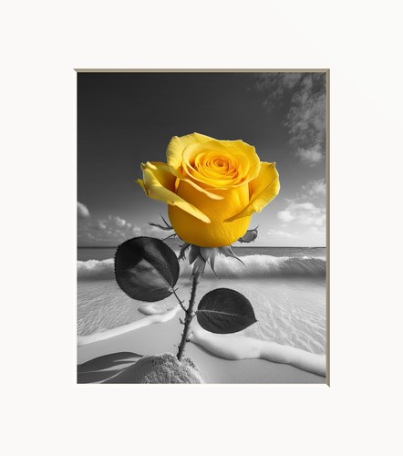 Yellow Wall Art, Yellow Rose Flower, Yellow Bathroom Bedroom Matted Wall Art
