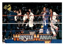 1990 Classic WWF #139 Rhythm & Blues