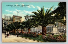 Vintage San Francisco Union Square Post Street Palms 1910s Postcard Posted