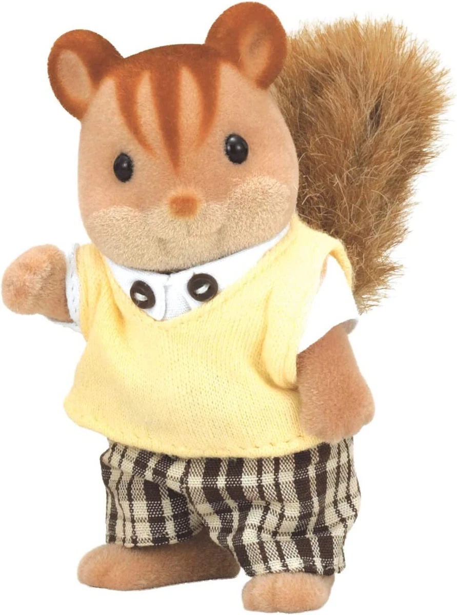 Walnut squirrel family cheap