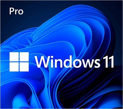 Microsoft Windows 11 Pro 64-Bit USB Flash Drive + Product Key (READ DESCRIPTION)