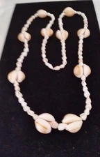 BEAUTIFUL MULTI SEA SHELL NECKLACE 