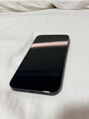 Apple iPhone 14 Pro Max 1TB Black, Factory Unlocked (READ DESCRIPTION)