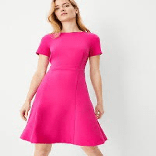 Robe De Cocktail Ann Taylor – Taille 18 – Couleur Vin, Dentelle – Neuve Avec étiquette (NWT) – Ligne A