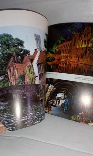 Todo Brujas - Editorial Escudo de Oro. En Español - Imagen 4 de 4