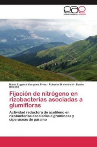Thumbnail - Fijación De Nitrógeno En Rizobacterias Asociadas A Glumifloras