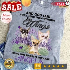 Chihuahua Dog - And god said i will send them without wings so no one suspect...