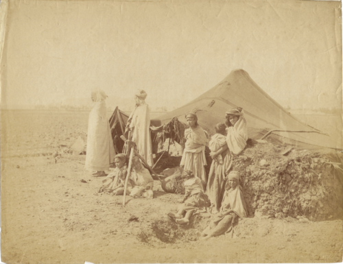 Algérie, Tente nomades désert algérien circa 1870 Photo albumine - Foto 1 di 2