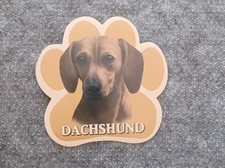 Dachshund Magnet for Car, Truck, Fridge With Unique Paw Design