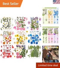 167 Pcs Real Dried Pressed Flowers Natural Dried Flowers Colorful Daisy Mixed...