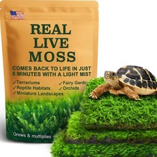 3 PCS Live Moss Reptile Enclosures Terrariums Fresh Substrate Mixed Varieties